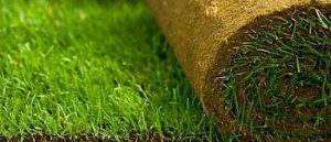 Gyepszőnyeg & gyeptégla telepítés és árak